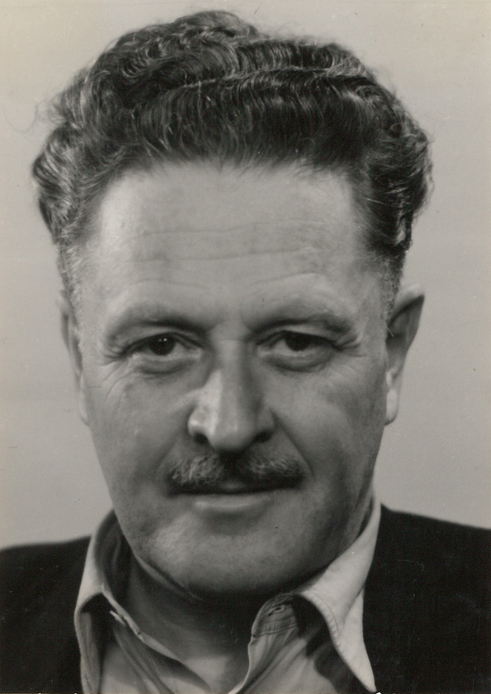 wikipedia.org adresinden alınmıştır. Nazım Hikmet'in Resmi